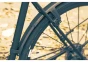 sks-speedrocker-2-134771-f-sk7-w780-h554_4.webp