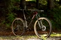 d56i9717_jpg.webp