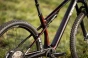 d56i0890_jpg.webp