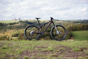 d56i4262-edit-edit_jpg.webp