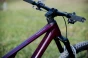 d56i4267_jpg.webp