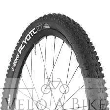 image (8).webp