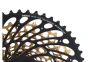 sram-xx1-eagle-xg-1299-2-110865-f-sk7-w780-h554_3.webp